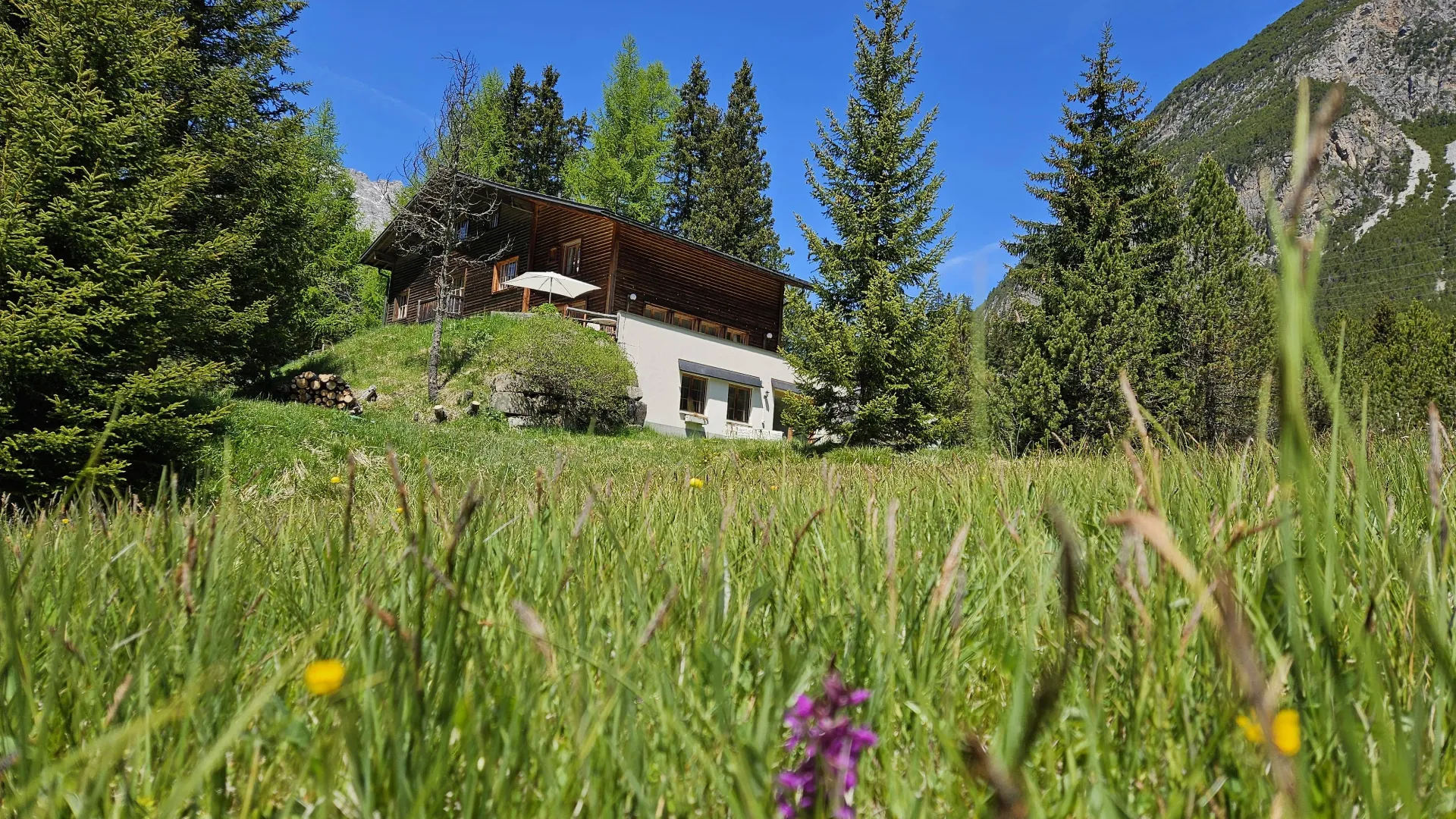Sommerfeeling mit längeren Herbstgrüssen